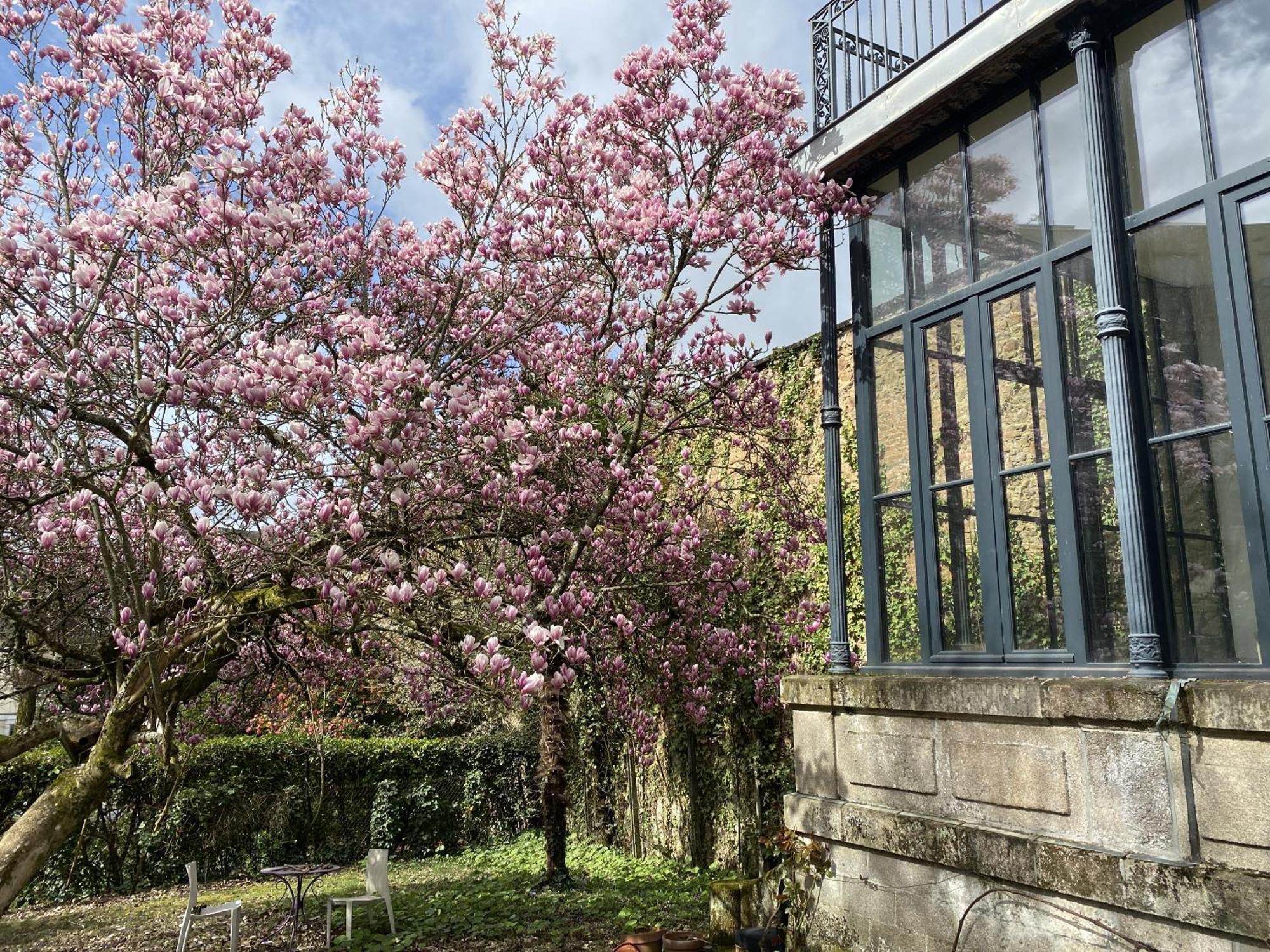 La Villa Beaupeyrat - Apparthotels De Charme Dans Batisse De Caractere Limoges Exterior photo