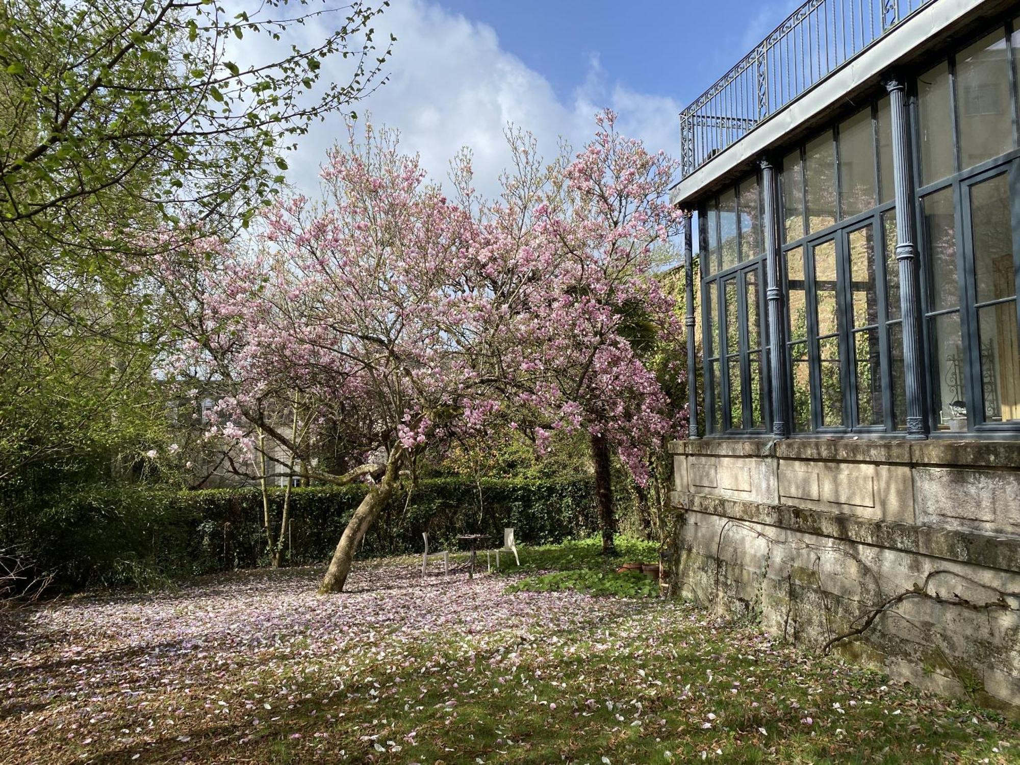 La Villa Beaupeyrat - Apparthotels De Charme Dans Batisse De Caractere Limoges Room photo